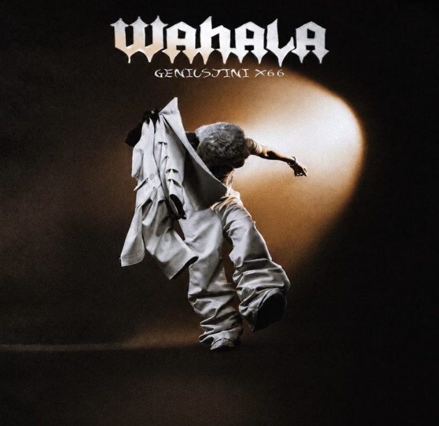 AUDIO | GeniusJini x66 – Wahala | Download Mp3 AUDIO | GeniusJini x66 – Wahala | Download Mp3